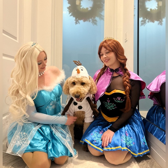 Elsa Costume - Picture 4 of 6